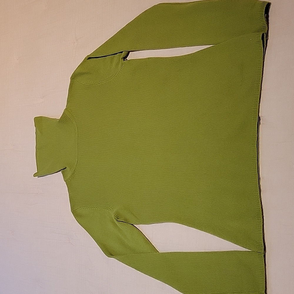 100% Cashmere Green Turtleneck Sweater for Woman
